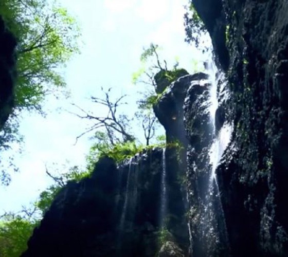 青山綠水，白龍江畔江畔息白鷺，兩岸綠橄欖入眼的都是純樸自然枝上花開(kāi)，春來(lái)水暖魚(yú)蝦戲水，鳥(niǎo)語(yǔ)花香心中充滿(mǎn)著舒暢之感祥宇生態(tài)產(chǎn)業(yè)園，位于隴南市武..